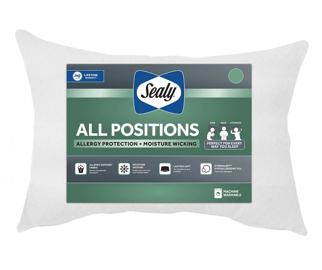 All Positions Pillow 1 All Positions Pillow