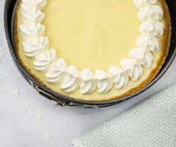 Black Glass Base Springform, (9") -Home Decor Store 810526057 3