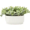 Green Leafy Plant In White Ripple Oval Ceramic Pot