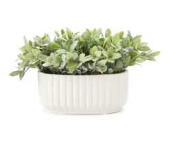 Green Leafy Plant In White Ripple Oval Ceramic Pot