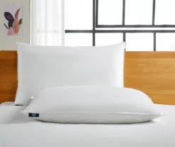 Serta White Medium-Firm Cotton-Down Pillow, 2-Pack -Home Decor Store 810617376 A8 3